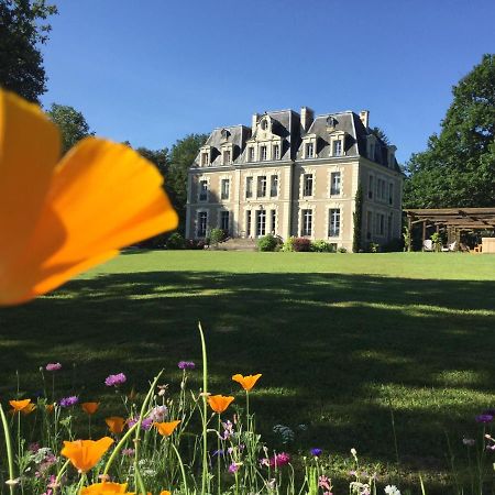 Chateau Des Essards Avec Piscine Et Jacuzzi Langeais Esterno foto