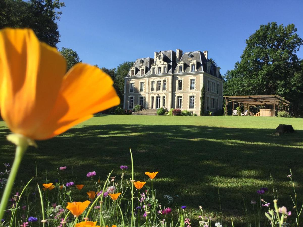 Chateau Des Essards Avec Piscine Et Jacuzzi Langeais Esterno foto